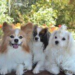 Profile_1180111231_75sq_1396712385