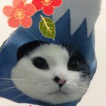 10881986_1584959051719658_651139689_a