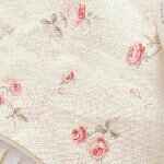 11379251_838087589619078_51356948_a