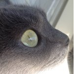 10598760_501324620002452_1035654686_a