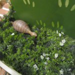 11142133_469282809907069_383755113_a