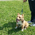 11094477_983088591703071_930148936_a