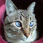 10362187_1759203677638096_1306770380_a