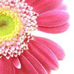 Profile_291956691_75sq_1390669980