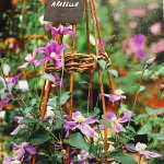 11111361_873515069380208_2142872238_a