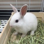 11187056_855129011233234_968724058_a