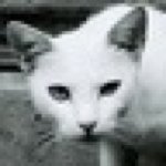 Profile_417947149_75sq_1384354912