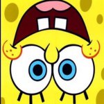 11245906_993579257333016_1859921568_a