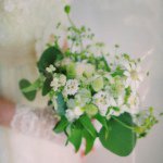 11191435_461905273976220_1451168208_a