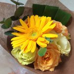 10895054_1594976847383994_739001773_a