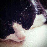 Profile_376616301_75sq_1368452796