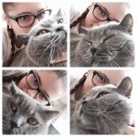 10895401_637323989726364_127106062_a