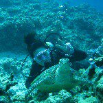 10963829_1558058107744180_1876106533_a