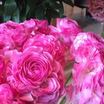 11055818_837741806285086_1569927758_a