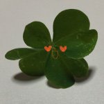 11230456_988050531214713_2107042473_a