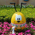 10706793_1519696421601395_284783807_a