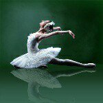 11078556_870063633035257_1872586890_a