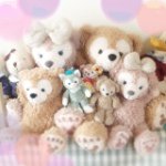 10979681_892635450757328_550596040_a