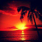 10948673_437533639728295_1959950030_a