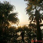 Profile_1323285237_75sq_1399789256