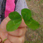 11327008_819035728166130_956781387_a