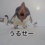 10729329_1414339768860690_1389455430_a