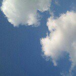 Profile_307882187_75sq_1368149010