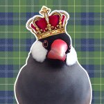 11191138_853306698069169_2123252639_a