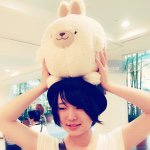 11313265_1591265961125204_145110809_a