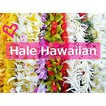 Profile_856694379_75sq_1387999060