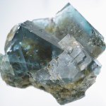 10693846_1511759625735690_1759342661_a