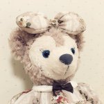 11008078_317111695165348_124849468_a