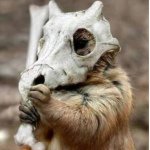 Profile_548888610_75sq_1378817053