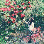 11203450_1066066740073680_1375573891_a