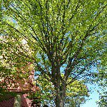 11267445_869864946412754_87209710_a