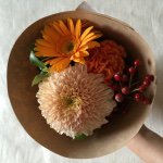 925921_1524953064411255_1260889413_a