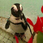 Profile_1292643959_75sq_1398609192