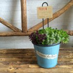 11258079_662016367261672_2063735294_a