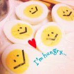 11123666_367494943457912_1992741006_a