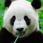 10899389_336383463232454_1093915458_a