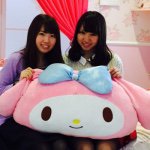 891424_1404684136512610_2027555555_a