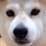 11117044_974131002621644_1474647015_a