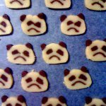 11263282_1635096376705818_1296187016_a