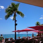 11327925_118531771813126_909297734_a