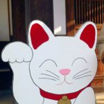 Profile_2321532_75sq_1351293280