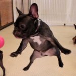 10881795_682048615241461_1527810696_a