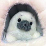 Profile_9822557_75sq_1316751543