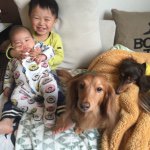 10995030_1574908086059193_1380965617_a