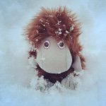 10986228_794540023953828_462014507_a