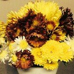 Profile_733678770_75sq_1385842593